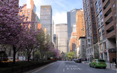 The Park Avenue Place – Timeless Elegance on the Upper East Side