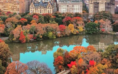 Exploring New York’s Best Parks and Outdoor Spaces